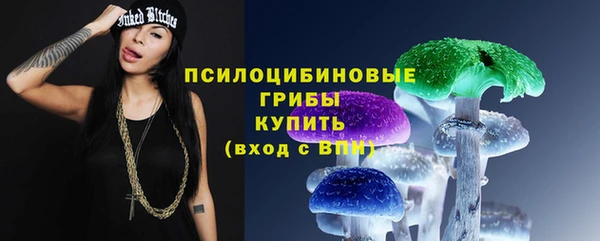 гашик Рославль