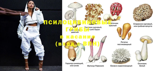спайс Алексин