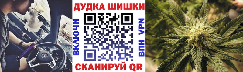 закладки  Киселёвск  кракен зеркало  МАРИХУАНА семена 